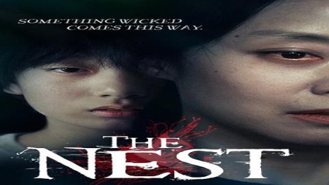 The Nest 2017
